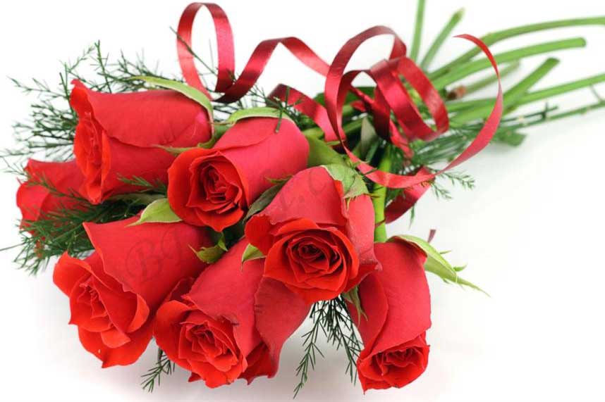 The Positive Effects of Flowers on your mood