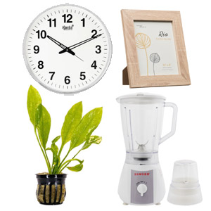 Household Items