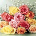 (F1) Roses in Bouquet