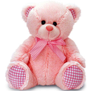 (63)  Big Teddy Bear 24 inch