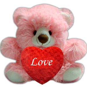 Small Pink Teddy Bear with Red Heat