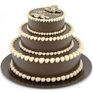 Swiss  - 10 Pounds Vanilla & Chocolate 3 Step Cake