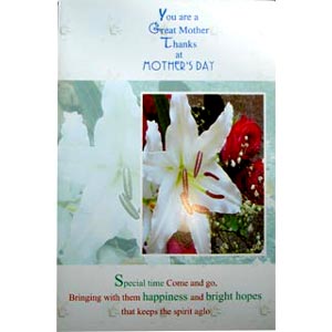 Mother's Day card 2 folder