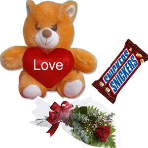 Bear W/ chocolates & red rose