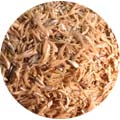 Fish - Caski Fish 1 KG