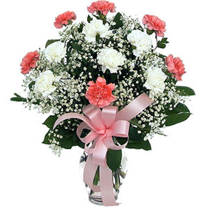 Mixed Carnations in Vase