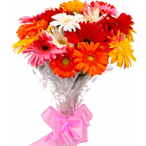 Mixed Gerbera in Bouquet