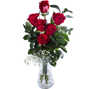 (05)6 Pcs Roses in a vase