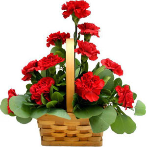 (12) Carnations in a basket