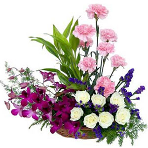 (13) Mixed flower Basket