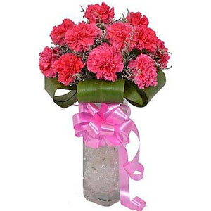 (71)Pink Carnations