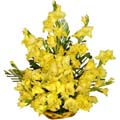(54) Yellow Basket