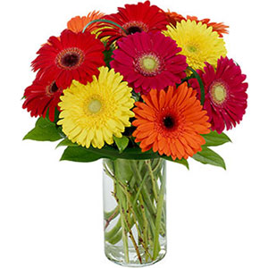 Mixed Gerbera in a Vase
