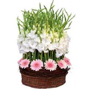 (05) Pink & White flower in basket