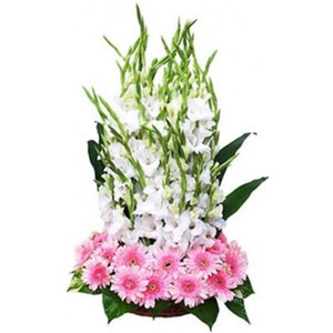 (06) Pink & White flower in basket