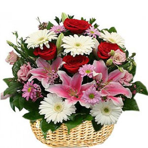 (08) Mixed flowers in a basket