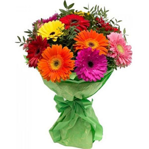 Mixed Gerbera in Bouquet