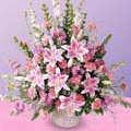 (04) Pink Basket