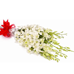 (005) White Orchids in Bouquet