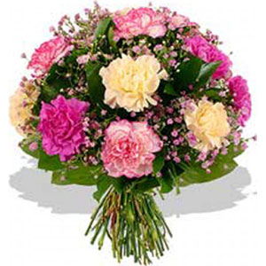 Mixed Carnations in Bouquet