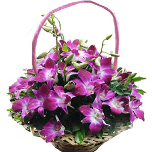 (71) Orchids in a Basket