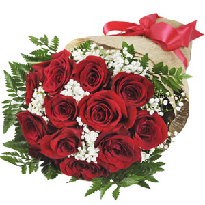 1 dozen red roses