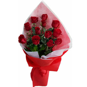 1 dozen red roses