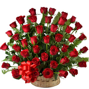 (13) 4 dozen red roses in a basket