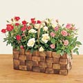 Rose Basket