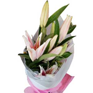 Pink Lilies in a Bouquet