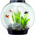Mini Fish Aquarium 
