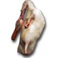 Meat - Duck (Deshi)-1 Piece