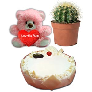 (0001) Cake W/ Live Cactus & Bear