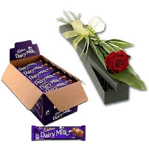  Dairy Milk Chocolate W/ Red Rose